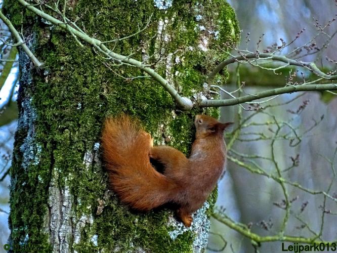 Leijpark013 22 & 23 & 24 February 2022