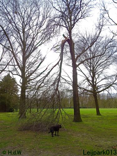 Leijpark013 22 & 23 & 24 February 2022