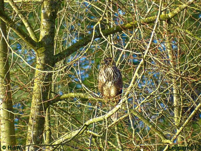 Leijpark013 22 & 23 & 24 February 2022