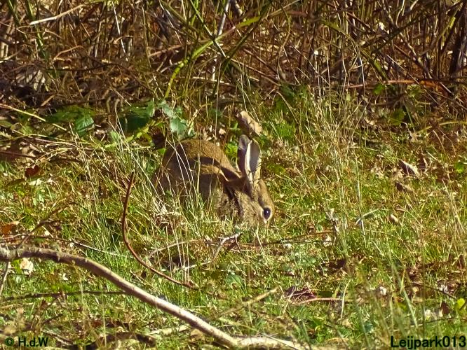 Leijpark013 22 & 23 & 24 February 2022