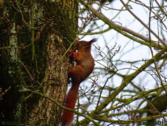 Leijpark013 22 & 23 & 24 February 2022