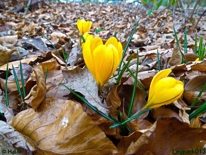 Leijpark013 22 & 23 & 24 February 2022