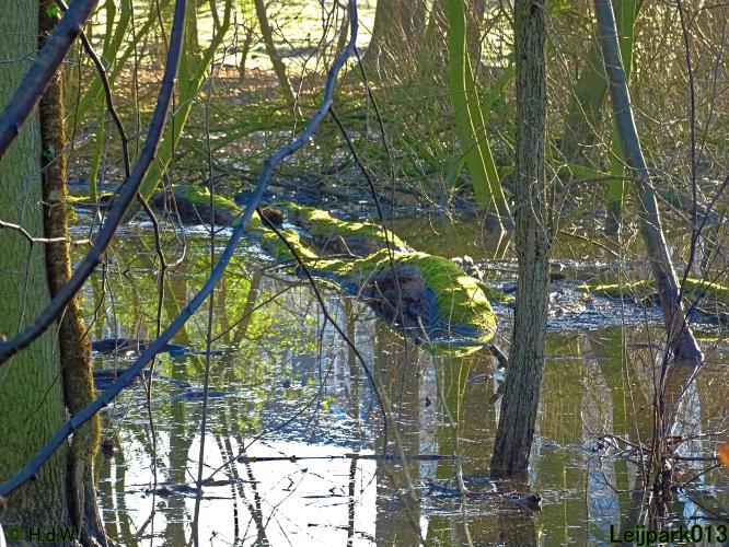 Leijpark013 22 & 23 & 24 February 2022