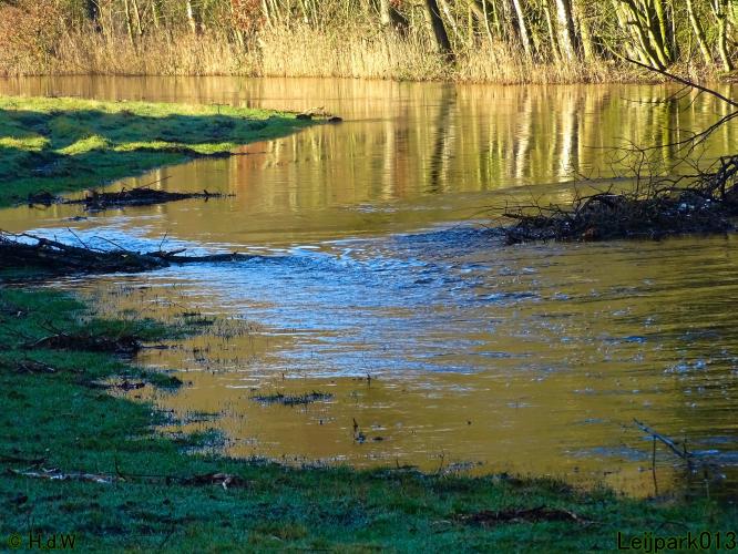 Leijpark013 22 & 23 & 24 February 2022