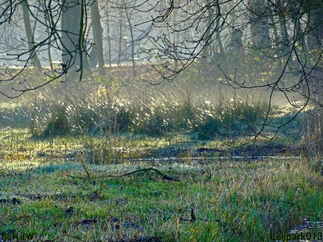 Leijpark013 22 & 23 & 24 February 2022