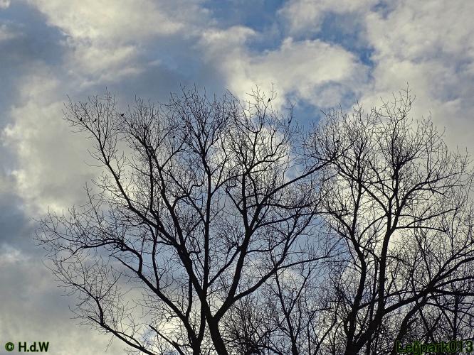 Leijpark013 22 & 23 & 24 February 2022