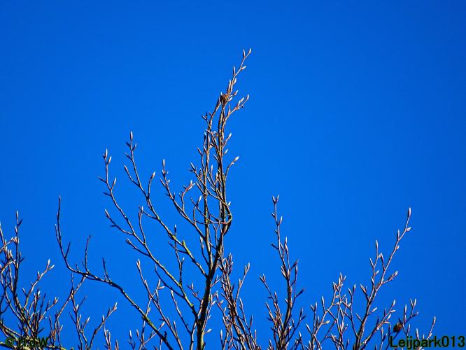 Leijpark013 22 & 23 & 24 February 2022