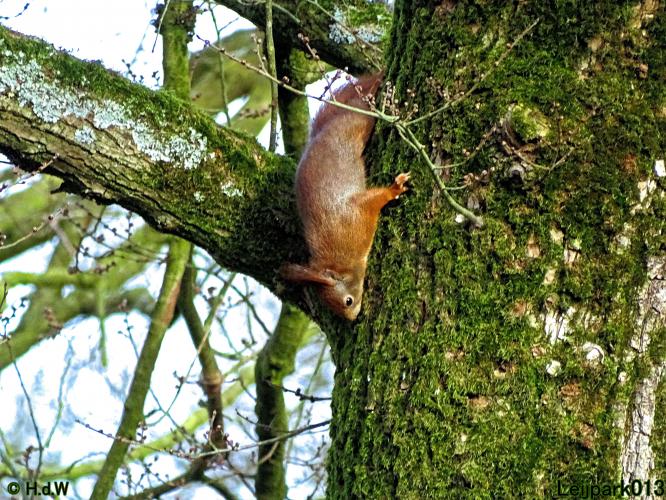 Leijpark013 22 & 23 & 24 February 2022