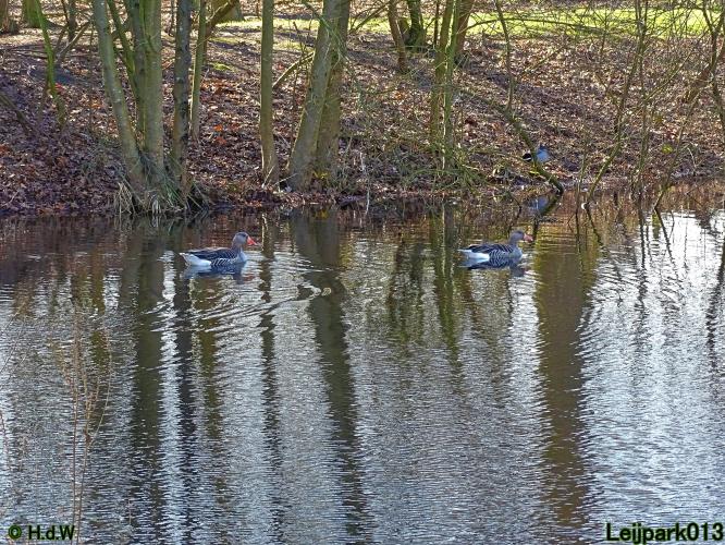 Leijpark013 22 & 23 & 24 February 2022
