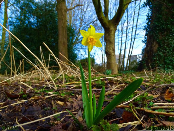 Leijpark013  26 &amp; 27 &amp; 28 februari 2022
