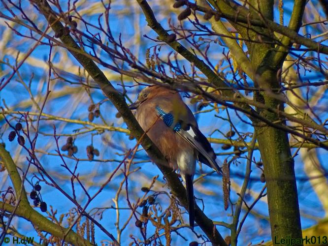 Leijpark013  26 &amp; 27 &amp; 28 februari 2022