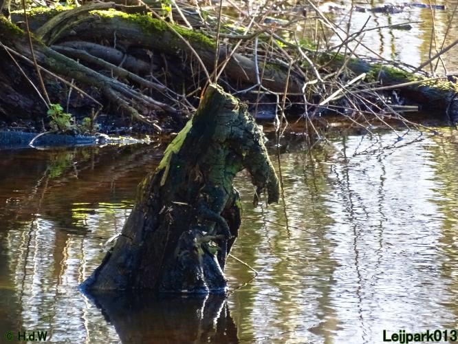 Leijpark013  26 &amp; 27 &amp; 28 februari 2022