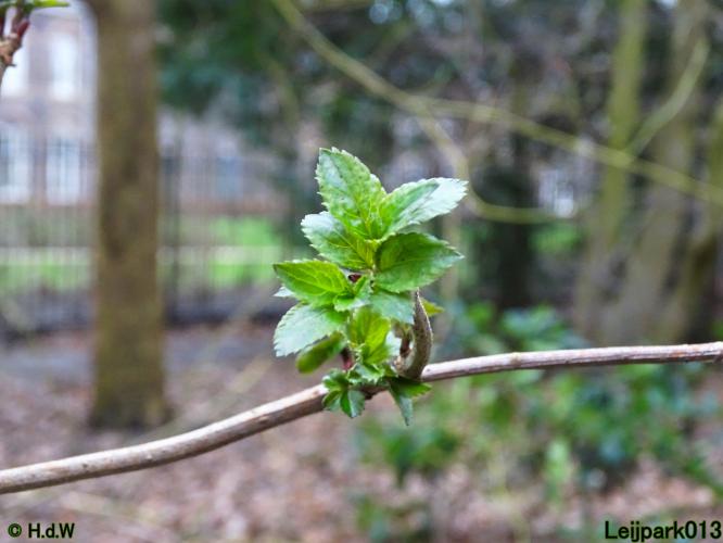 Leijpark013  26 &amp; 27 &amp; 28 februari 2022