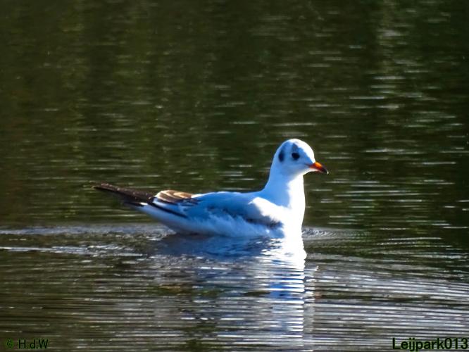 Leijpark013  26 &amp; 27 &amp; 28 februari 2022