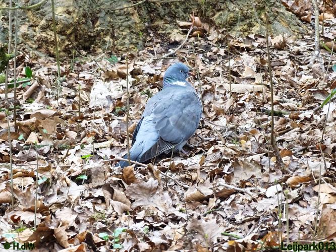 Leijpark013  26 &amp; 27 &amp; 28 februari 2022