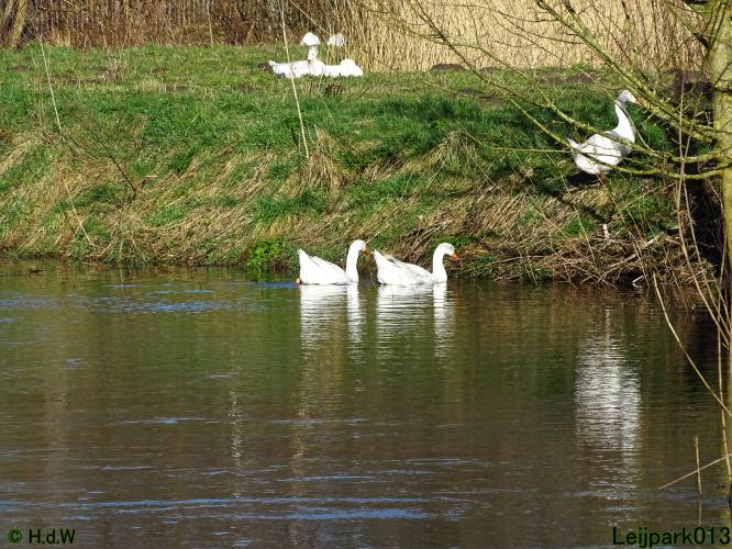 Leijpark013  26 &amp; 27 &amp; 28 februari 2022