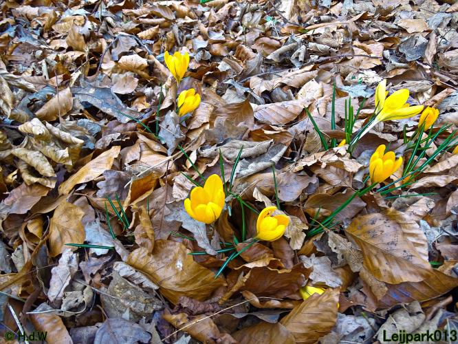 Leijpark013  26 &amp; 27 &amp; 28 februari 2022