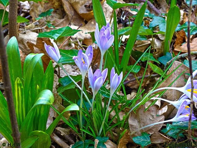 Leijpark013  26 &amp; 27 &amp; 28 februari 2022