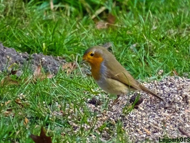 Leijpark013  26 &amp; 27 &amp; 28 februari 2022