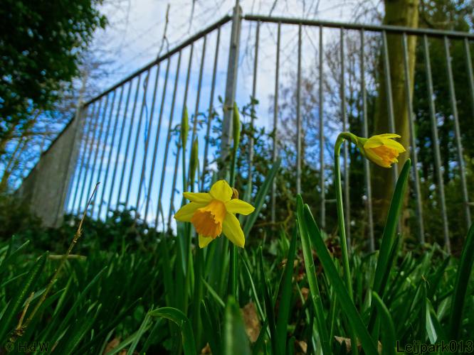 Leijpark013  26 &amp; 27 &amp; 28 februari 2022