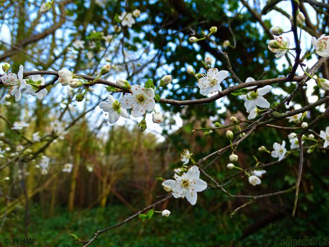 Leijpark013  26 &amp; 27 &amp; 28 februari 2022