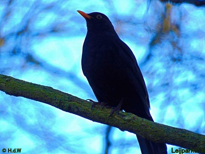 Leijpark013  26 &amp; 27 &amp; 28 februari 2022