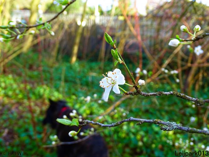 Leijpark013  26 &amp; 27 &amp; 28 februari 2022