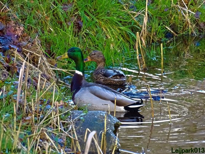 Leijpark013  26 &amp; 27 &amp; 28 februari 2022