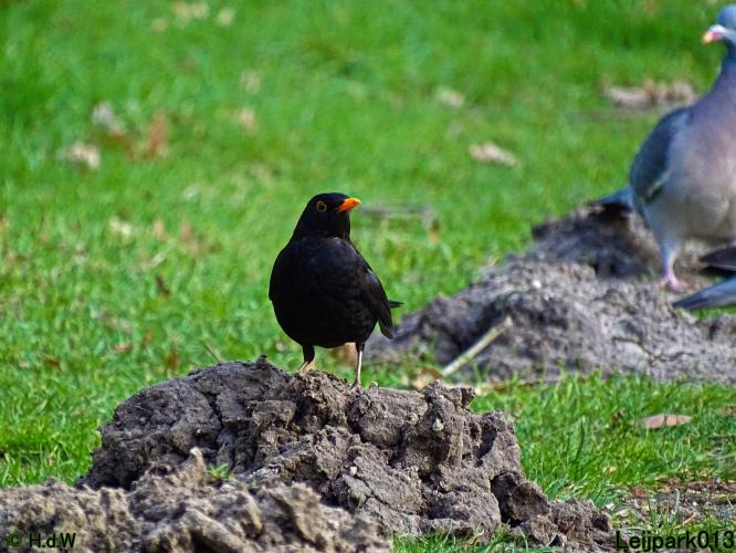 Leijpark013  26 &amp; 27 &amp; 28 februari 2022