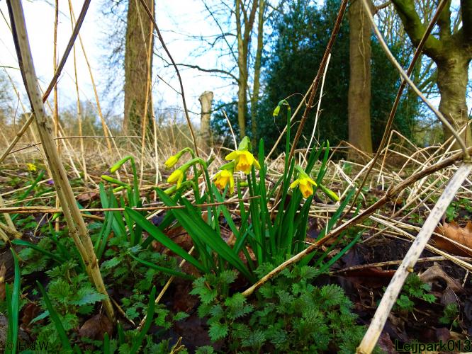 Leijpark013  26 &amp; 27 &amp; 28 februari 2022