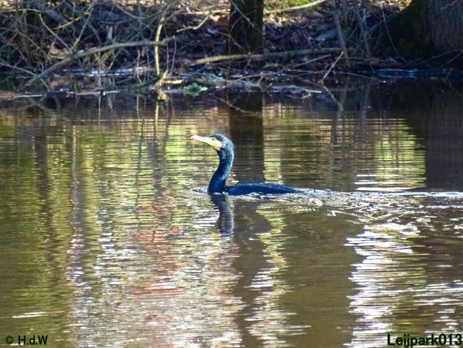 Leijpark013  26 &amp; 27 &amp; 28 februari 2022