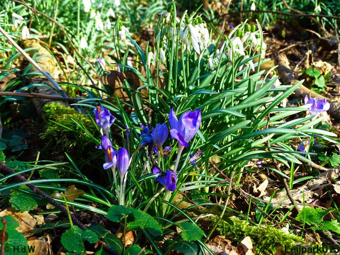 Leijpark013  26 &amp; 27 &amp; 28 februari 2022