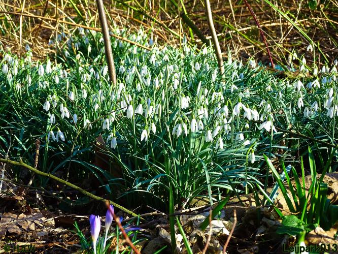 Leijpark013  26 &amp; 27 &amp; 28 februari 2022