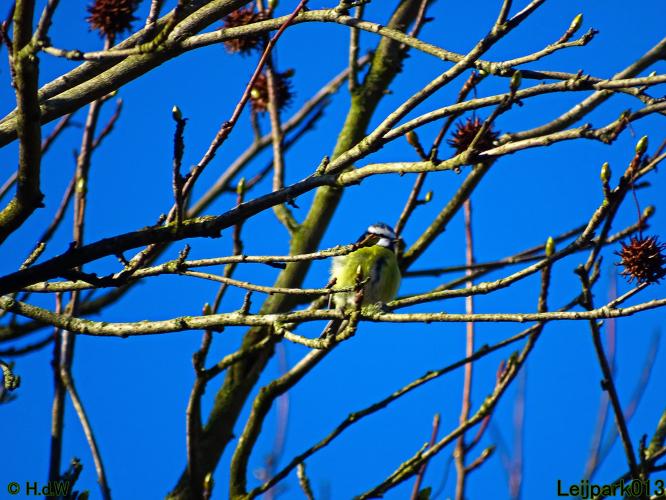 Leijpark013  26 &amp; 27 &amp; 28 februari 2022