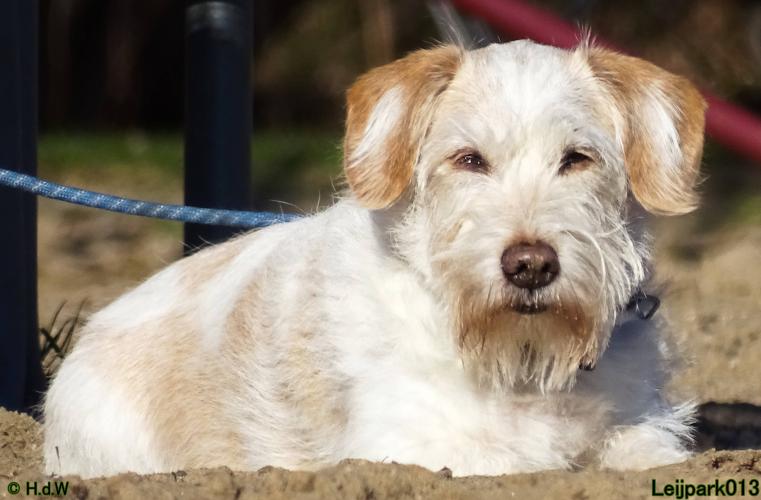 Leijpark013 Beestenboel 1 maart 2022