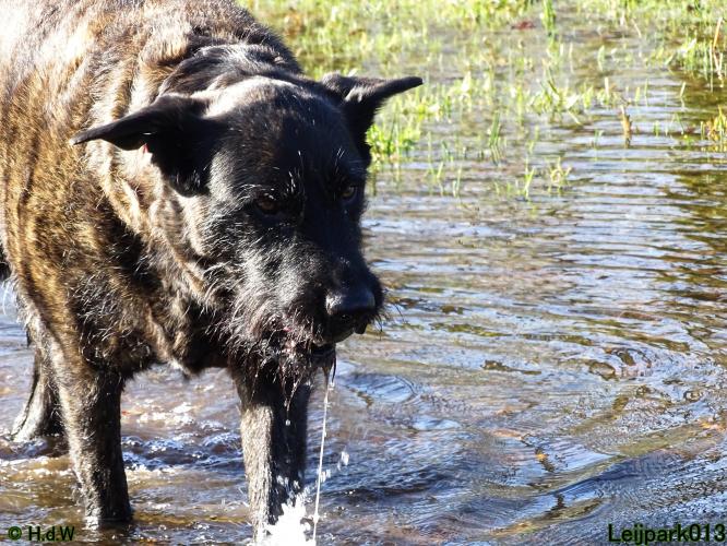Leijpark013 Beestenboel 1 maart 2022
