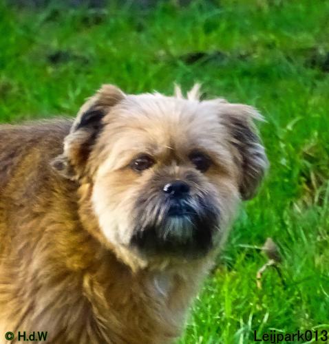 Leijpark013 Beestenboel 1 maart 2022