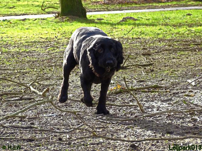 Leijpark013 Beestenboel 1 maart 2022