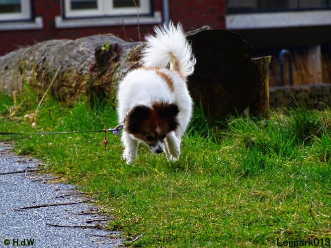 Leijpark013 Beestenboel 1 maart 2022
