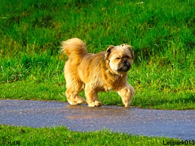 Leijpark013 Beestenboel 1 maart 2022