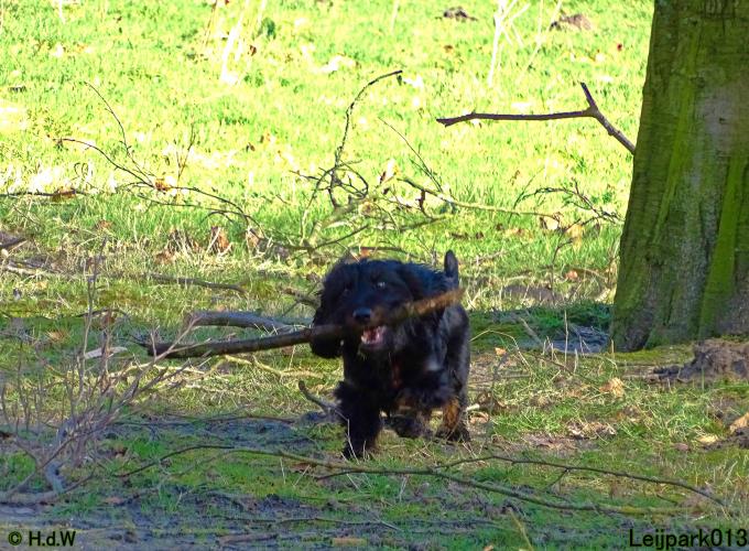 Leijpark013 Beestenboel 1 maart 2022