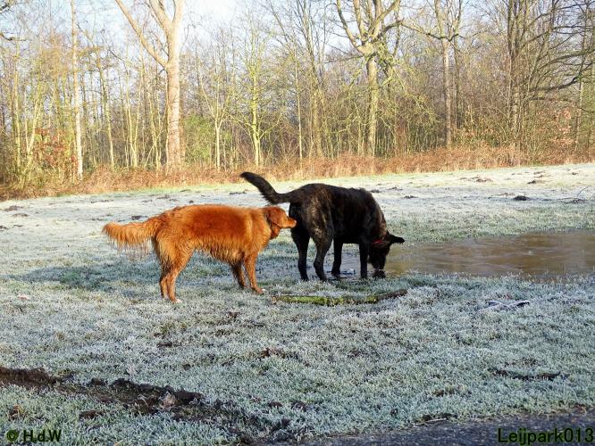 Leijpark013 Beestenboel 1 maart 2022