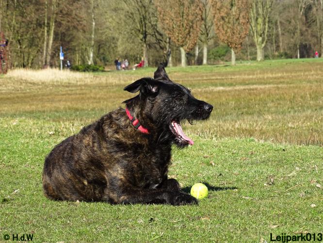 Leijpark013 Beestenboel 1 maart 2022