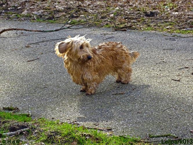 Leijpark013 Beestenboel 1 maart 2022