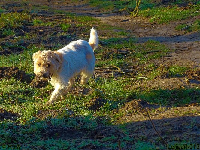 Leijpark013 Beestenboel 1 maart 2022
