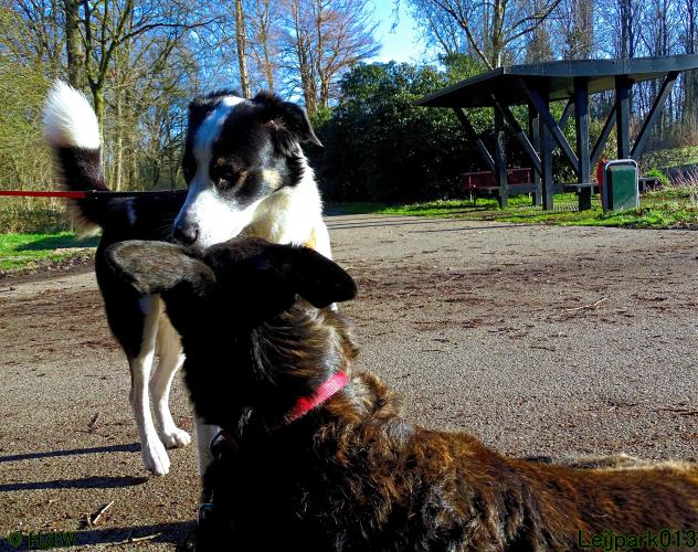 Leijpark013 Beestenboel 1 maart 2022