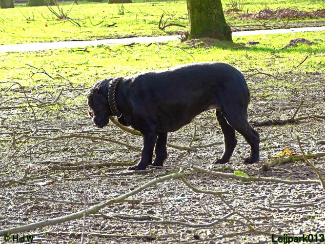 Leijpark013 Beestenboel 1 maart 2022