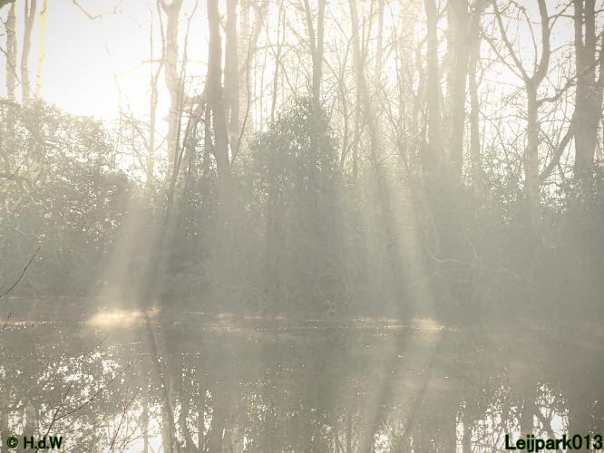 Leijpark013  1 &amp; 2 &amp; 3 &amp; 4 Maart 2022 