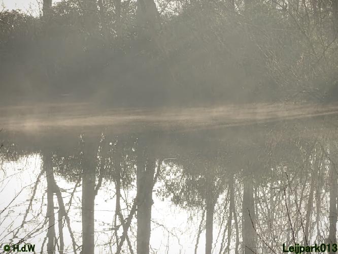 Leijpark013  1 &amp; 2 &amp; 3 &amp; 4 Maart 2022 