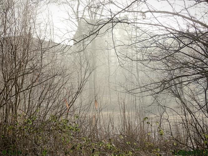 Leijpark013  1 &amp; 2 &amp; 3 &amp; 4 Maart 2022 